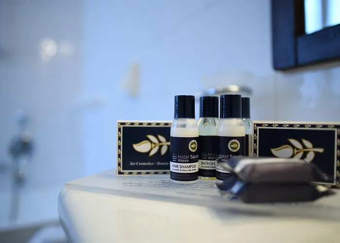 Отель Savoia 3*